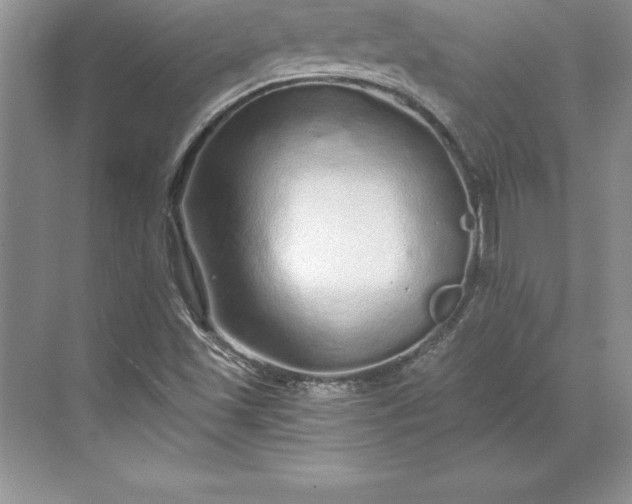 X0000071331501200607071619