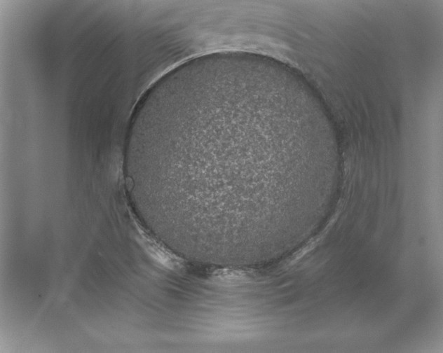 X0000071331505200607071619