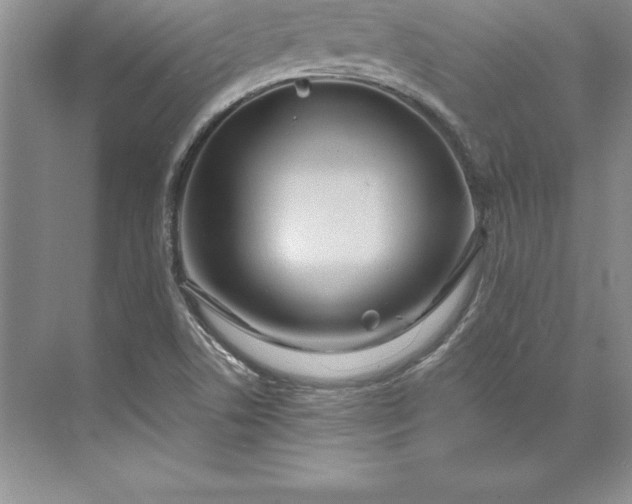 X0000071331506200607071619