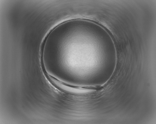 X0000071331508200607071619