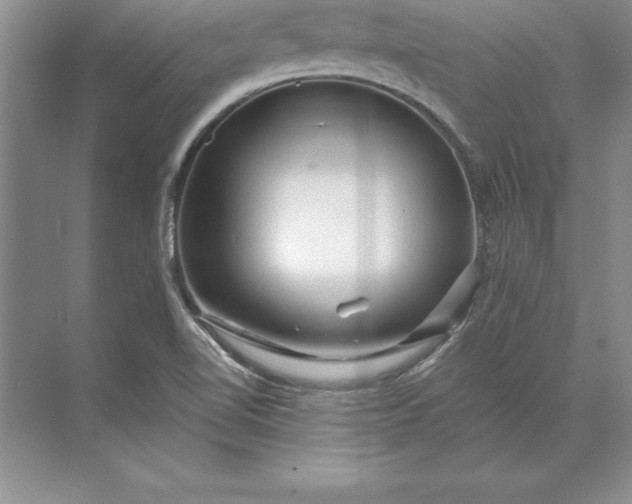 X0000071331510200607071619