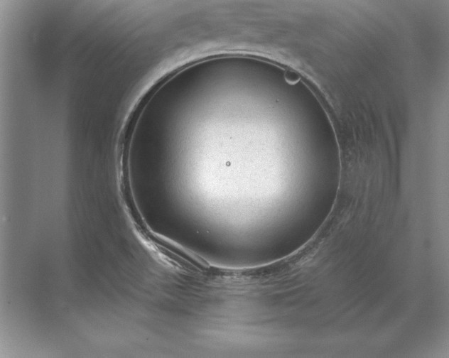 X0000071331511200607071619