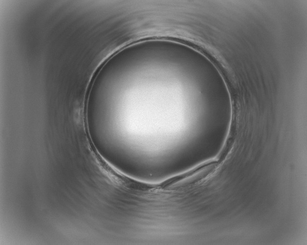 X0000071331513200607071619