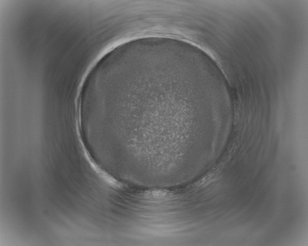 X0000071331515200607071619