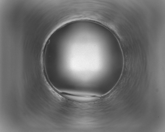 X0000071331516200607071619