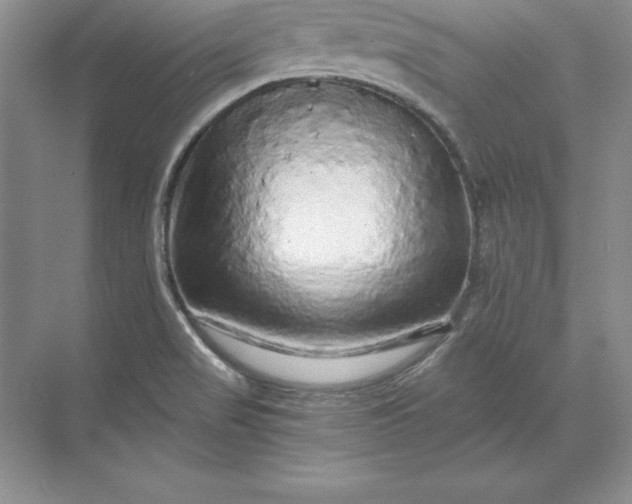 X0000071331517200607071619