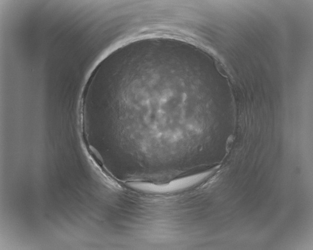 X0000071331522200607071619