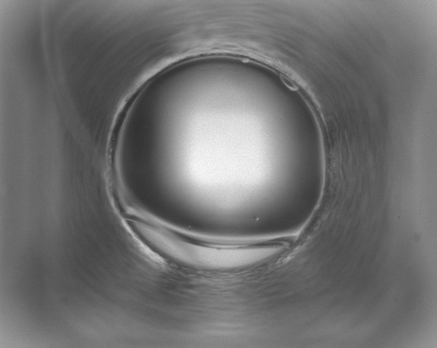 X0000071331525200607071619