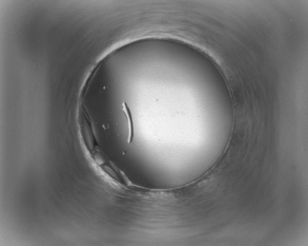 X0000071331526200607071619