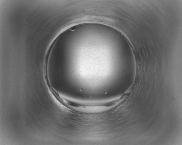 X0000071331531200607071619