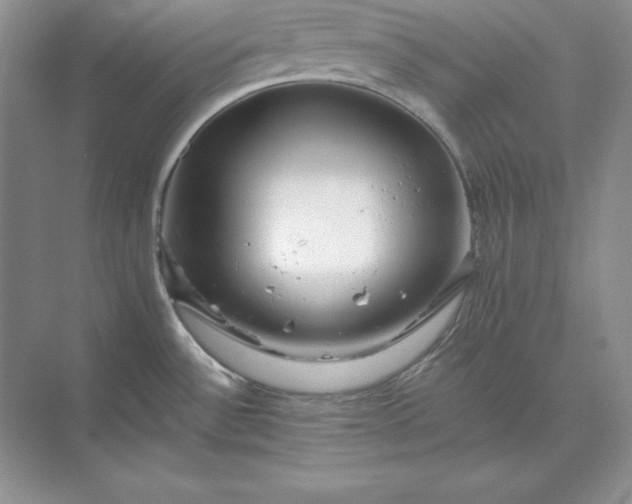 X0000071331532200607071619