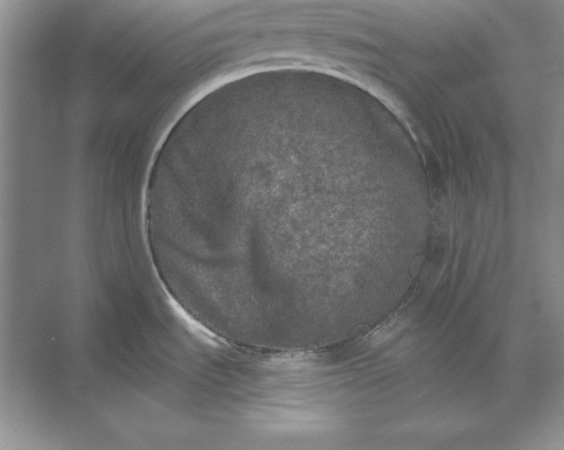 X0000071331535200607071619