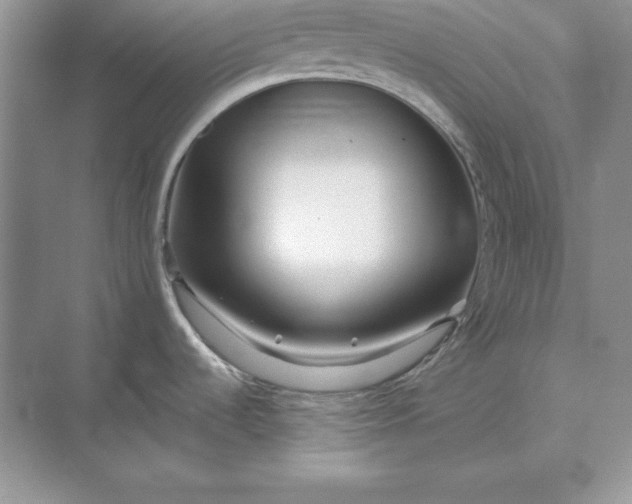 X0000071331536200607071619