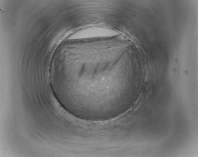 X0000071330002200607141917