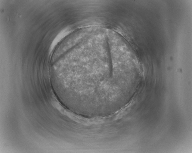 X0000071330004200607141917