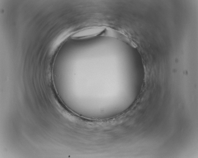 X0000071330005200607141917