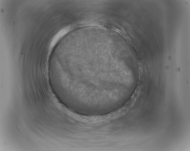 X0000071330006200607141917