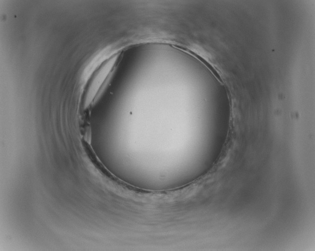 X0000071330007200607141917