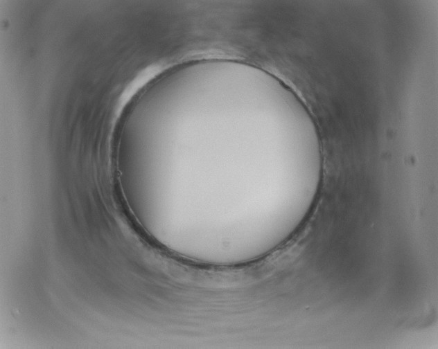 X0000071330008200607141917