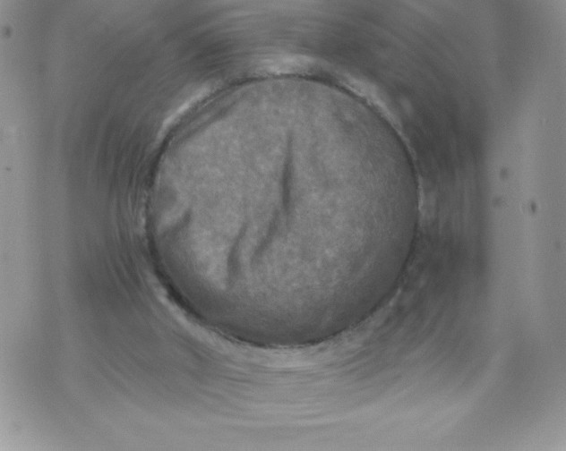 X0000071330010200607141917