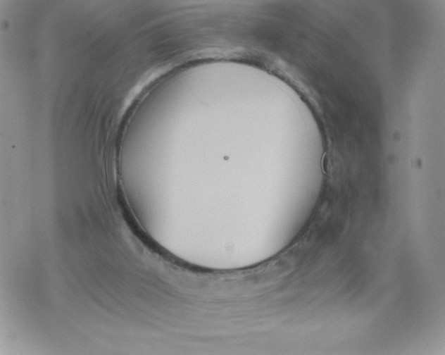 X0000071330011200607141917