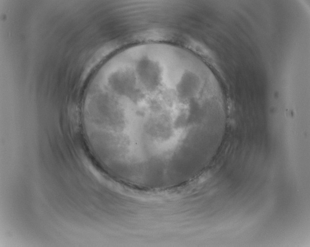 X0000071330012200607141917