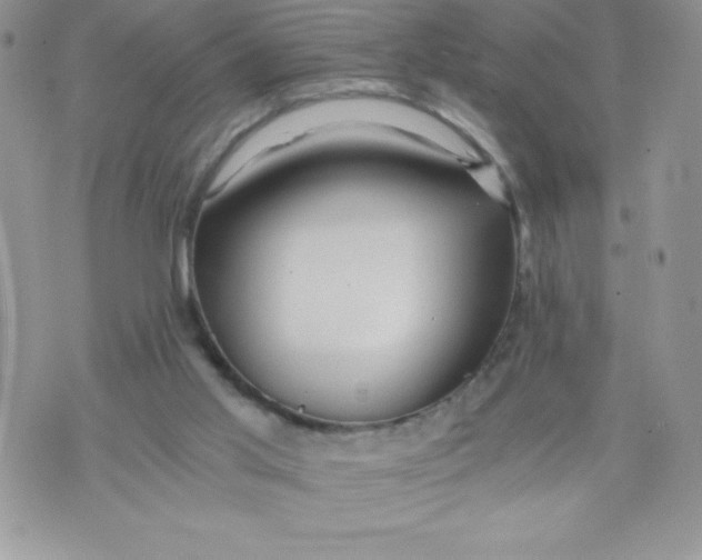 X0000071330013200607141917