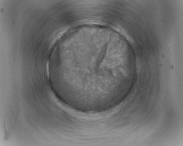 X0000071330014200607141917