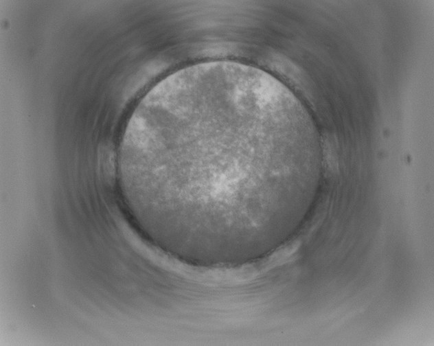 X0000071330016200607141917