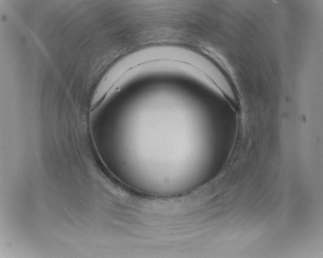 X0000071330017200607141917