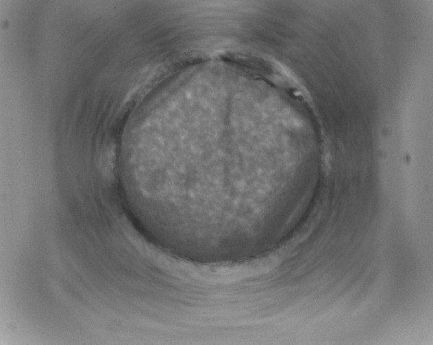 X0000071330018200607141917