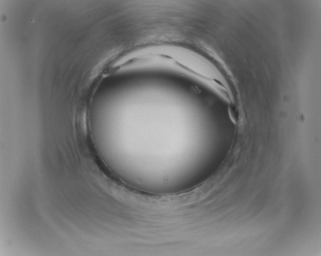 X0000071330019200607141917