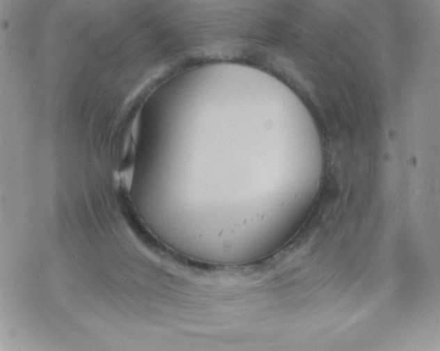 X0000071330020200607141917