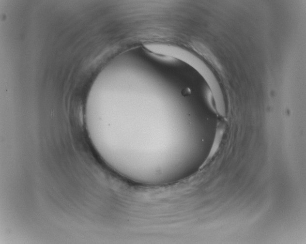 X0000071330021200607141917