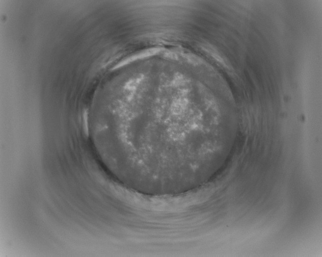 X0000071330022200607141917