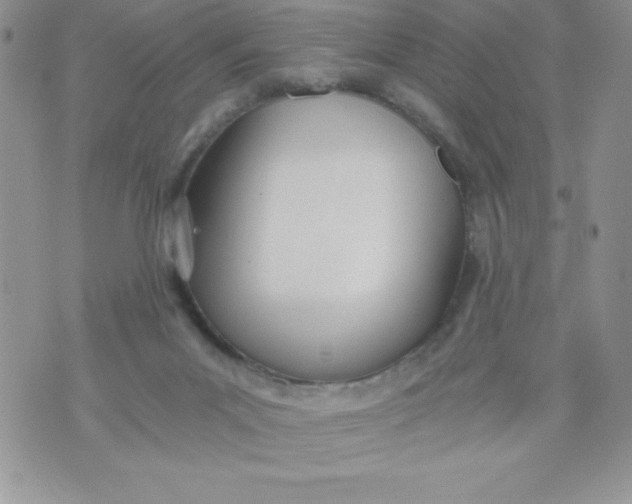 X0000071330023200607141917