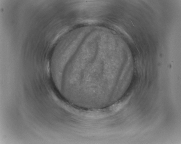 X0000071330024200607141917