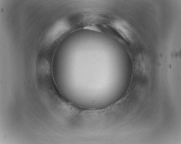 X0000071330025200607141917