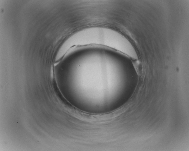 X0000071330027200607141917