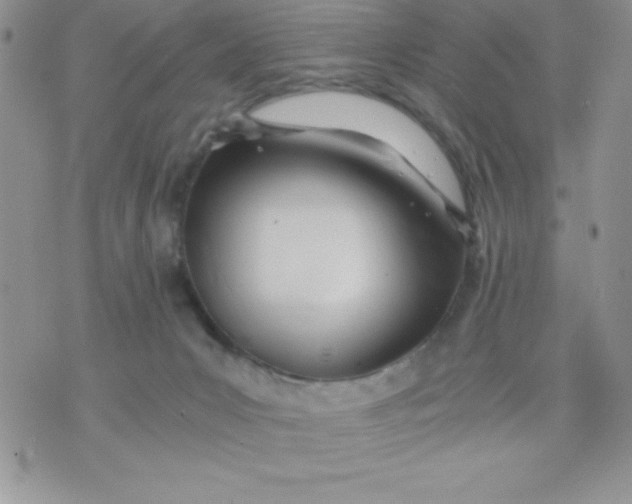 X0000071330031200607141917