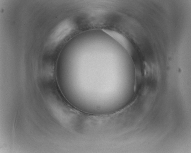 X0000071330033200607141916