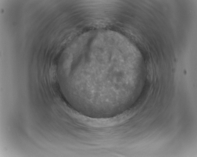 X0000071330034200607141916