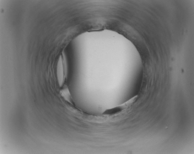 X0000071330037200607141916