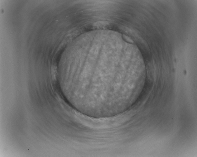 X0000071330038200607141916