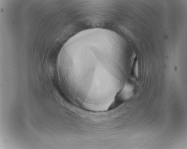 X0000071330039200607141916