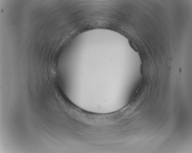 X0000071330040200607141916