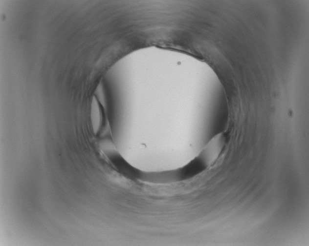 X0000071330041200607141916