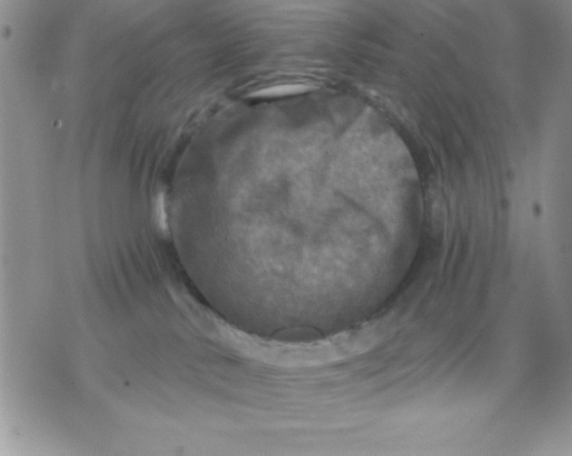 X0000071330042200607141916