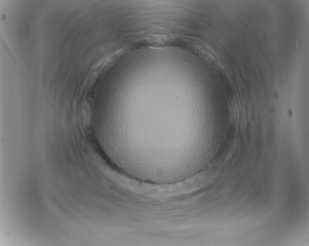 X0000071330043200607141916