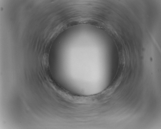 X0000071330044200607141916